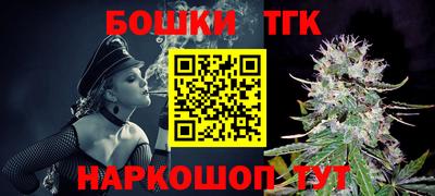 spice Дубна