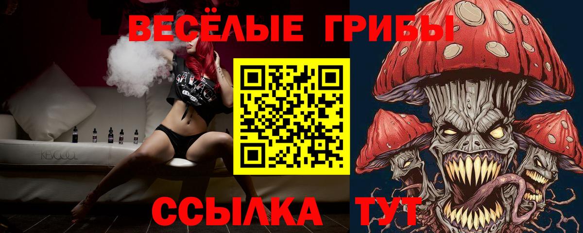 Псилоцибиновые грибы мухоморы  Вход с VPN  Мыски  Псилоцибиновые грибы Psilocybine cubensis 