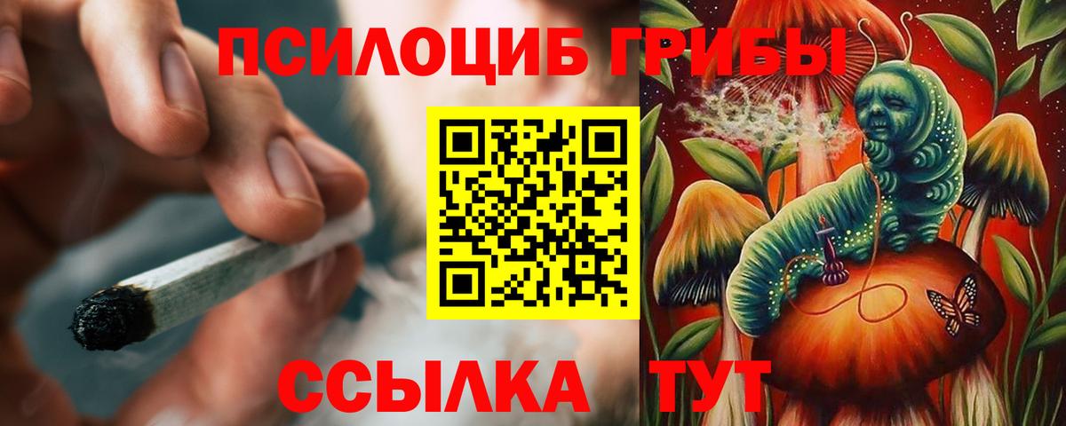 Псилоцибиновые грибы прущие грибы Мыски